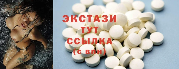 ECSTASY Богородицк
