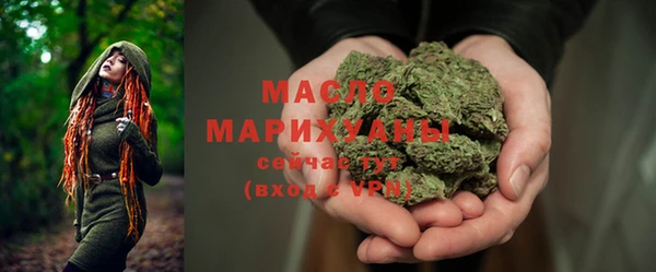 ECSTASY Богородицк