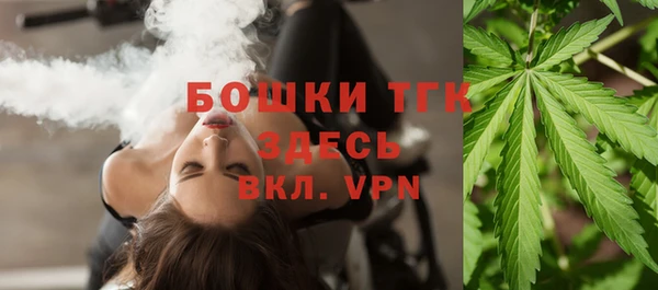 стаф Богородск