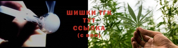 ECSTASY Богородицк