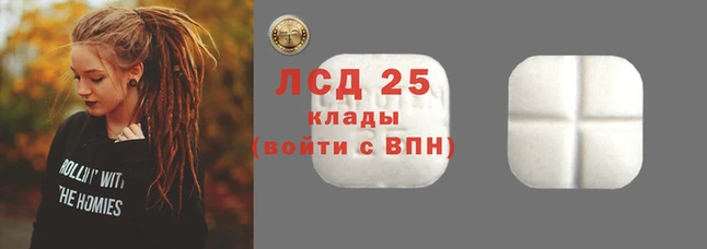 стаф Богородск