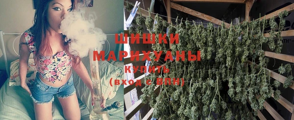 ECSTASY Богородицк