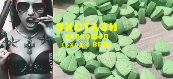 ECSTASY Богородицк