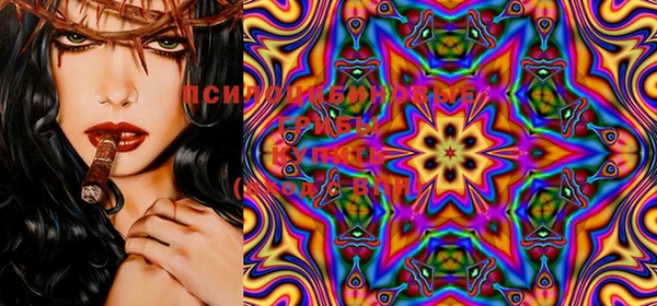 ECSTASY Богородицк